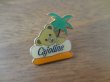 画像2: 【Cajoline】ピンズ ピンバッジ ピンバッチ PINS くま 熊 クマ (2)