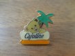 画像1: 【Cajoline】ピンズ ピンバッジ ピンバッチ PINS くま 熊 クマ (1)